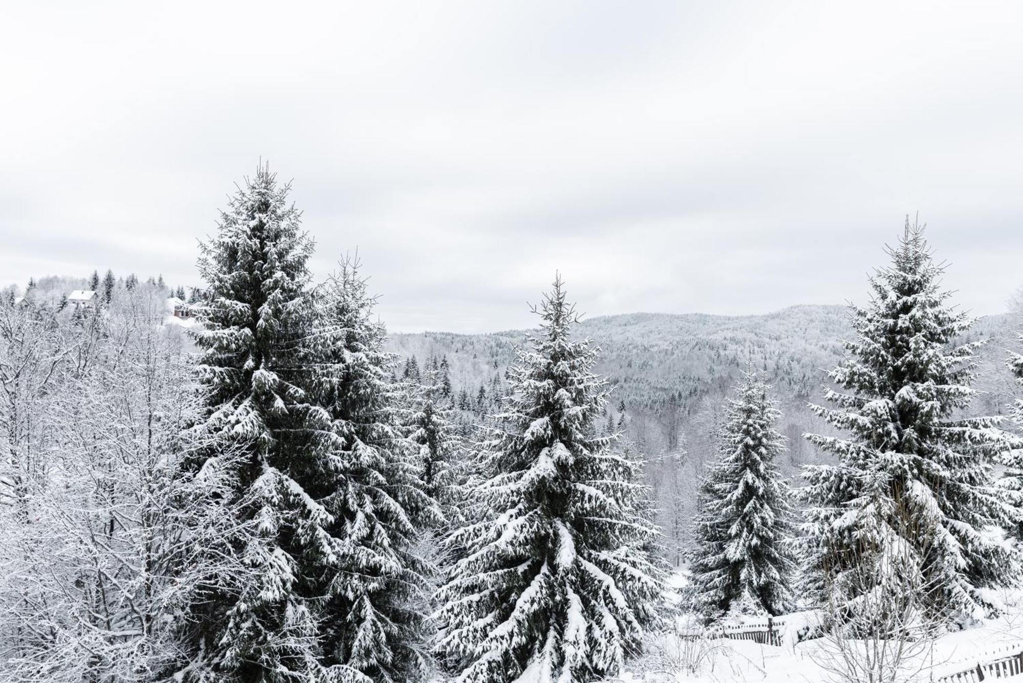 Glecer Kop, Cozy Design Apartment A5, Free Parking Garage Kopaonik Buitenkant foto